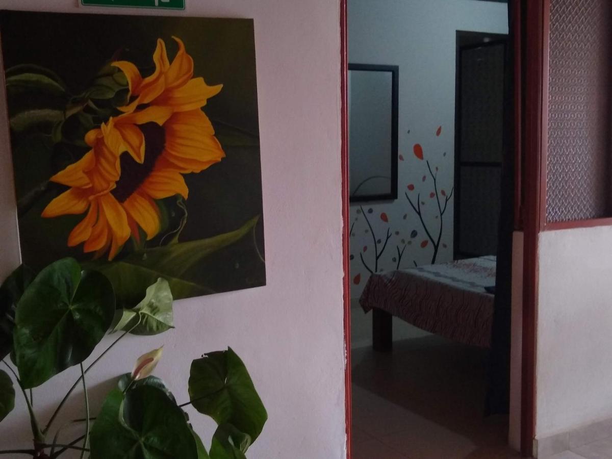 Casa Pacha Hotel กัวดวส ภายนอก รูปภาพ