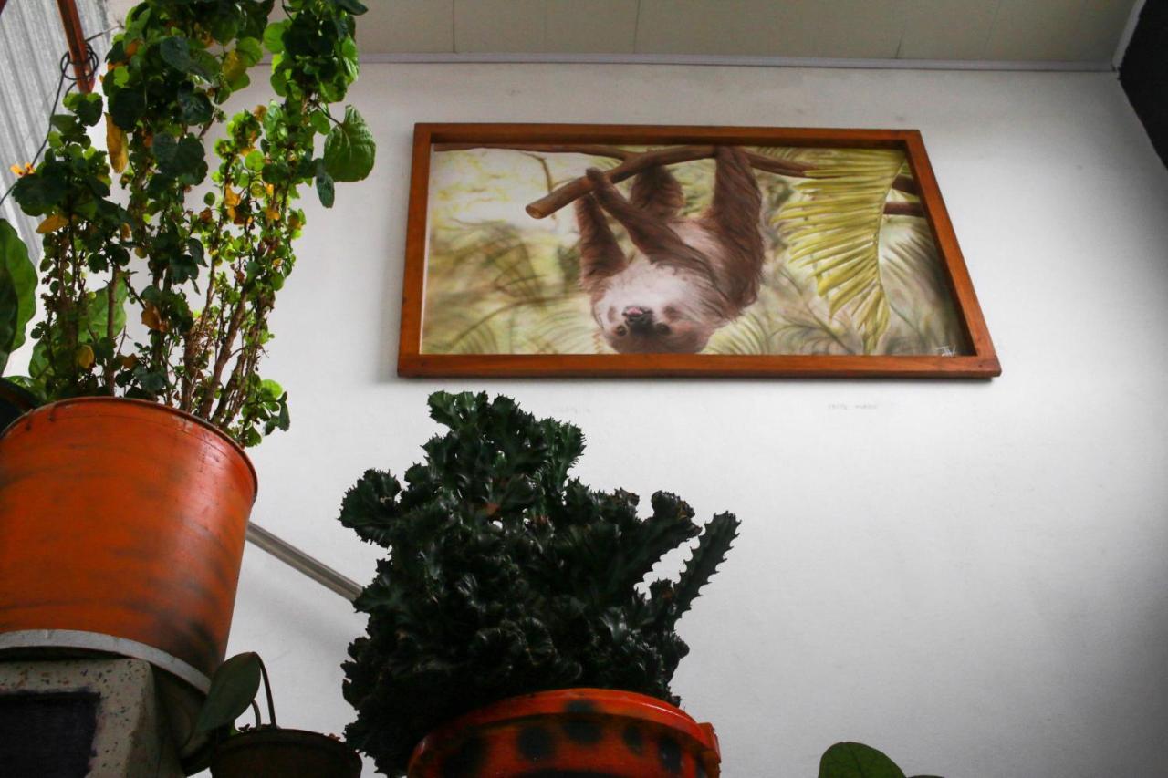 Casa Pacha Hotel กัวดวส ภายนอก รูปภาพ