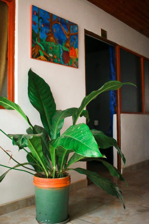 Casa Pacha Hotel กัวดวส ภายนอก รูปภาพ